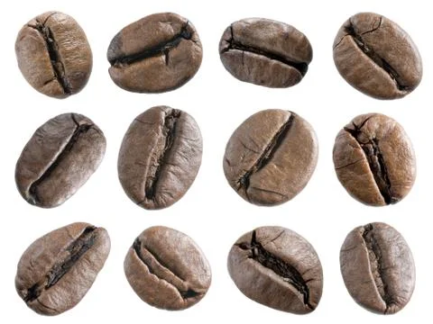 Coffee beans set. Stock Photos