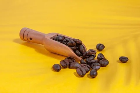 Coffee beans  with shadows from a palm tree in a coffee spoon scattered on a Stock Photos