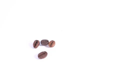 Coffee beans in shape of wifi connection 動画素材 70210574