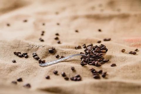 Coffee beans on a silver spoon Stock Photos