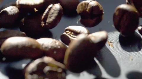 Coffee Beans Slow Motion Falling Close Up Stock Footage 233016446