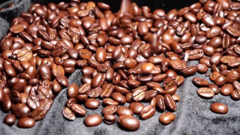 Coffee beans slow motion falling 스톡 동영상 278998418