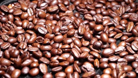 Coffee beans slow motion falling 库存影片 278998646