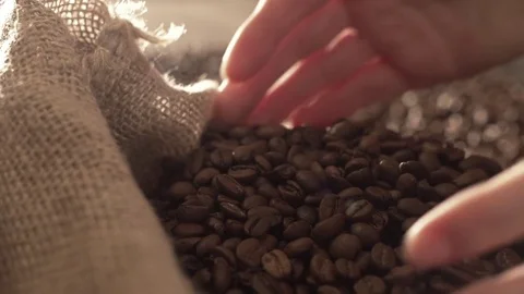 Coffee beans in slow motion Stock Footage 76050453