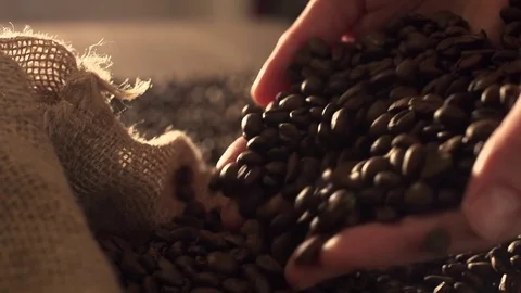 Coffee beans in slow motion Stock Footage 76050499