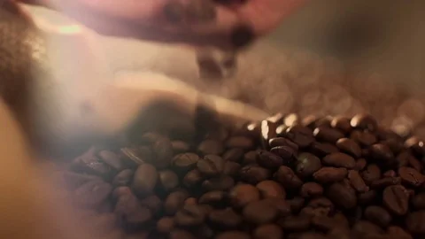 Coffee beans in slow motion Stock Footage 76050556