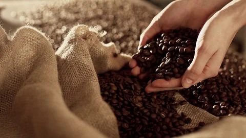 Coffee beans in slow motion Stock Footage 76050665