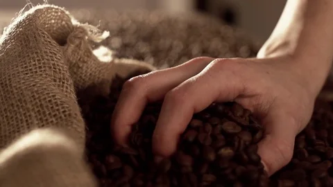 Coffee beans in slow motion Stock Footage 76050763