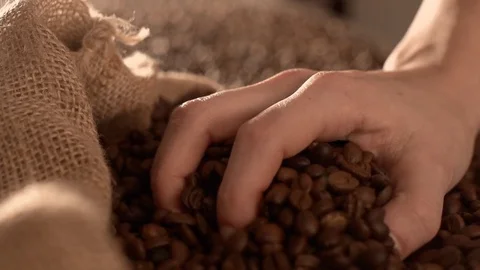 Coffee beans in slow motion Stock Footage 76050783