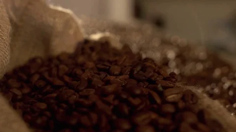 Coffee beans in slow motion Stock Footage 76051163