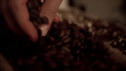 Coffee beans in slow motion Stock Footage 76051174