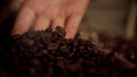 Coffee beans in slow motion Stock Footage 76051188