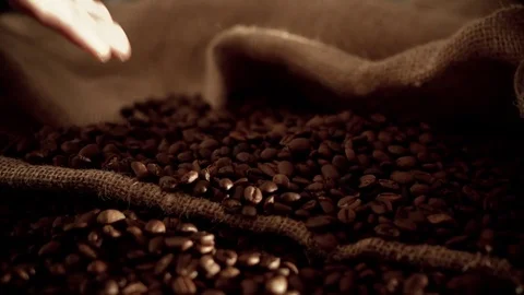 Coffee beans in slow motion Stock Footage 76051199
