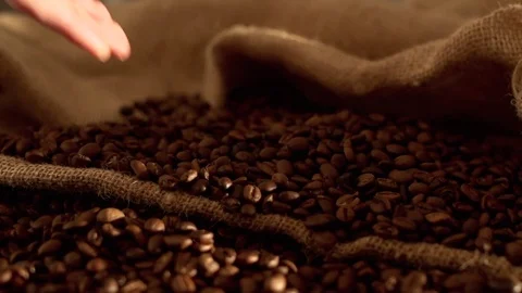 Coffee beans in slow motion Stock Footage 76051210