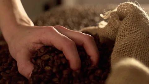 Coffee beans in slow motion Stock Footage 76051269