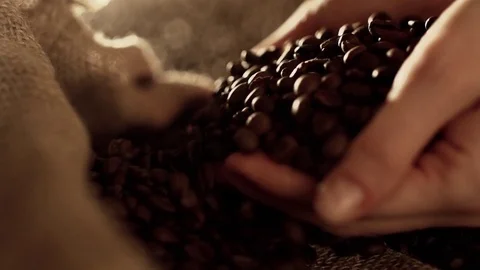 Coffee beans in slow motion Stock Footage 76051342