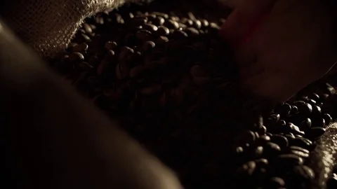 Coffee beans in slow motion Stock Footage 76051414