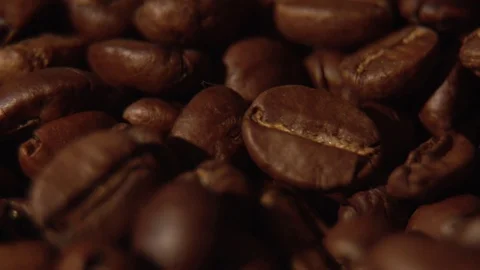 Coffee beans in slow motion Stock Footage 76100708