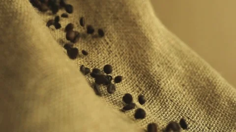 Coffee beans in slow motion Stock Footage 76248773