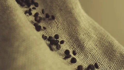 Coffee beans in slow motion Stock Footage 76248856