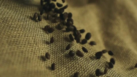 Coffee beans in slow motion Stock Footage 76248925