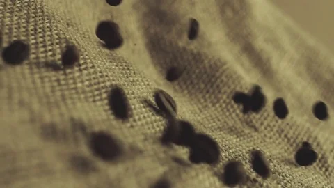 Coffee beans in slow motion Stock Footage 76248988