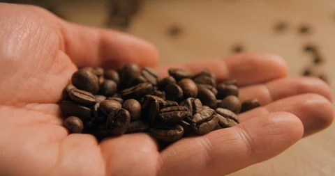 Coffee beans slow motion indoor Stock Footage 121646125