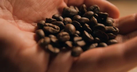 Coffee beans slow motion indoor Stock Footage 121646463