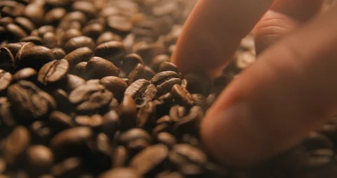 Coffee beans slow motion indoor Stock Footage 121647628