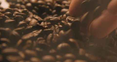 Coffee beans slow motion indoor Stock-Footage 121648012