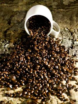 Coffee beans spill Stock Photos