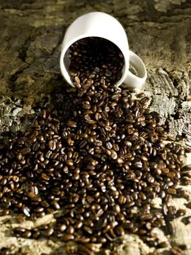 Coffee beans spill Foto stock