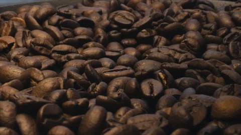 Coffee beans spin and fall on a plate Stock Footage 117398679