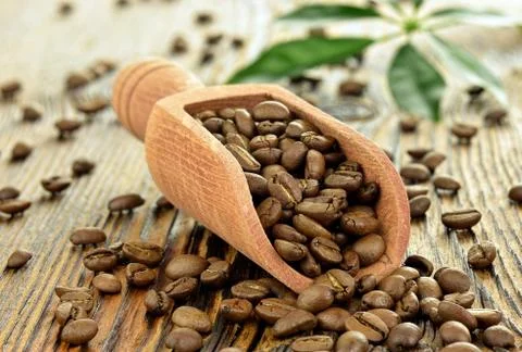 Coffee beans in spoon Stock Photos