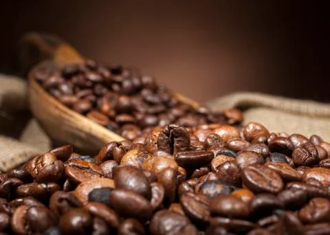 Coffee beans on spoon Stock Photos
