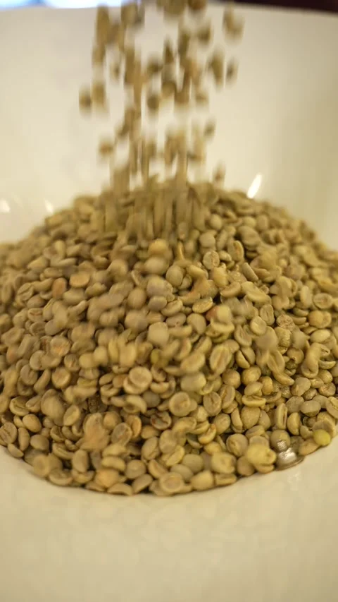 Coffee beans stirred in a cooling tray after roasting Stock Footage 310043326