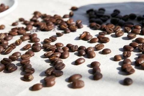 Coffee beans in the sun Stock Photos