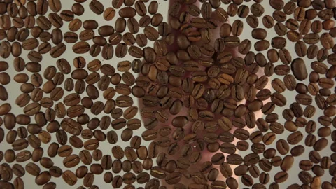 Coffee beans symbol Stock Footage 106484813