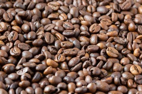 Coffee beans on the table for the background Stock Photos