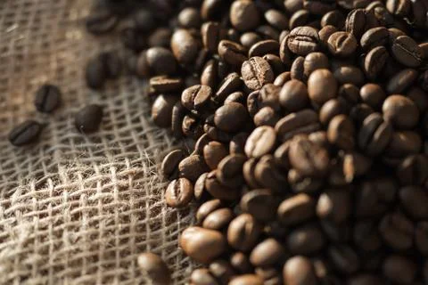 Coffee beans on a table with burlap. Stock Photos