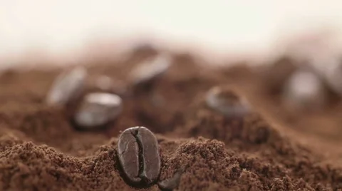 Coffee Beans on the Table Stock Footage 62395116