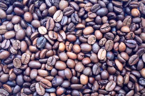 Coffee beans on the table texture background Stock Photos