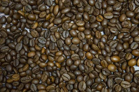 Coffee beans on the table. Texture of coffee beans. Stock Photos