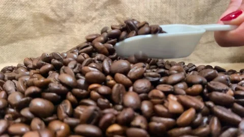 Coffee beans, taking coffee beans with white spoon, close up Stock Footage 232873311