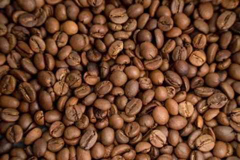Coffee beans texture. Coffee background. A lot of coffee 写真素材