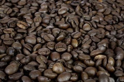 Coffee beans texture Stock Photos