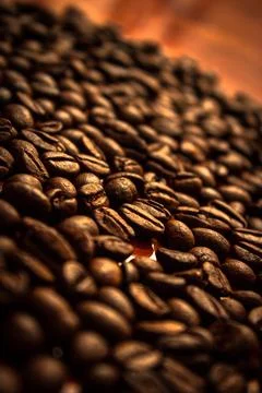 Coffee beans texture Stock Photos