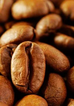 Coffee beans three 写真素材