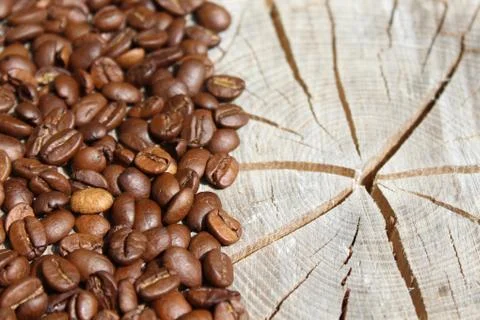 Coffee beans on a tree trunk Stock Photos