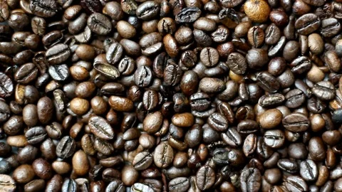 Coffee Beans Variable Light And Shadows Stock Footage 74940708